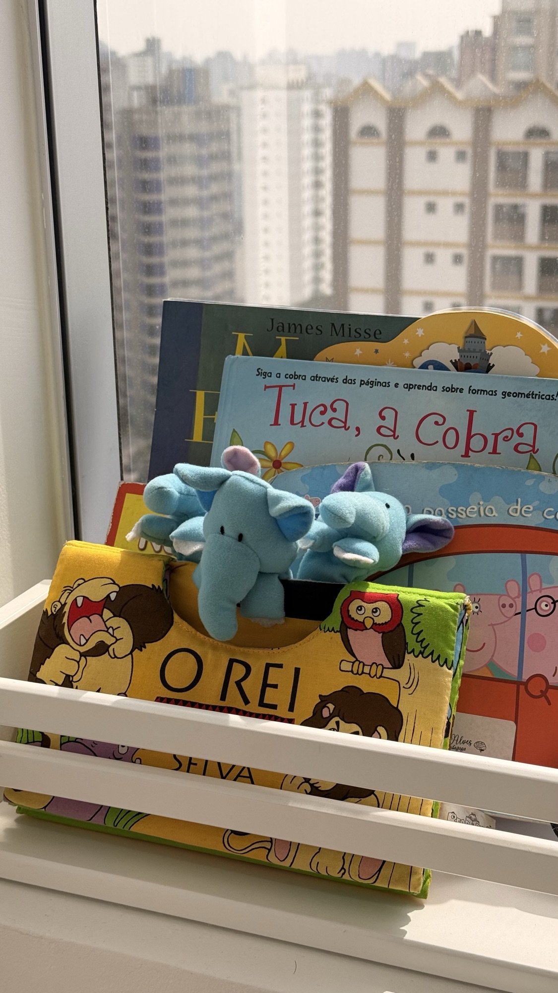 Livros e brinquedos para crianças e adolescentes